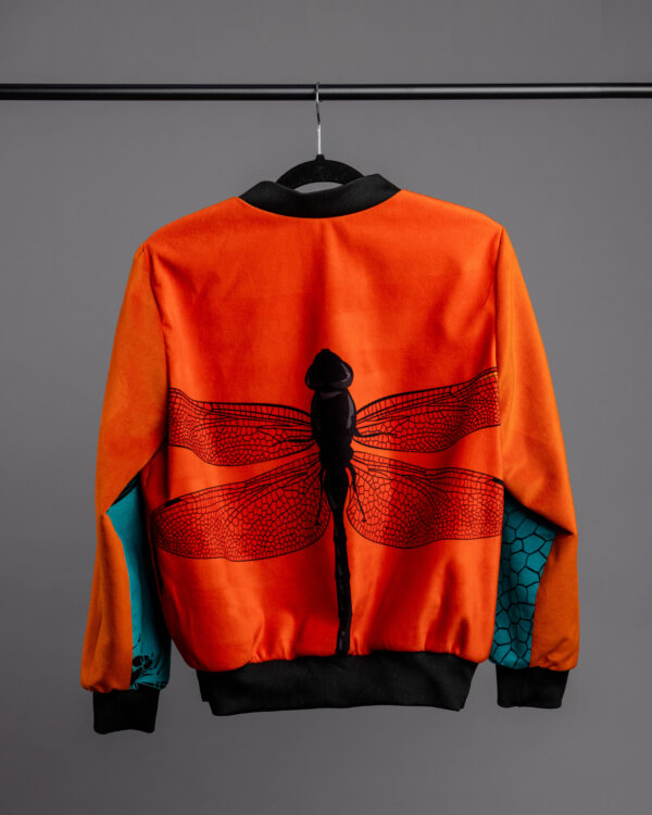 Dragonfly - Image 5
